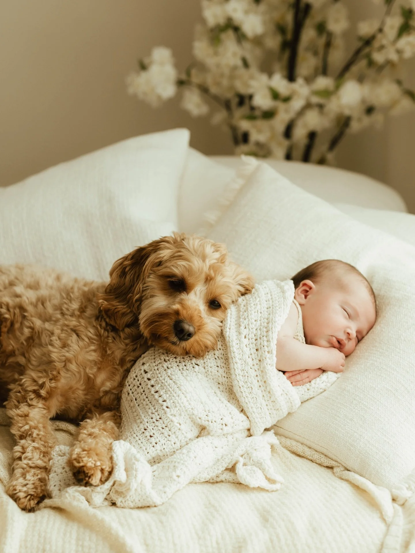 When your Mummy makes you the cutest baby blanket, bonnet and booties&hellip;.🥹❤️

Plus fur baby too, this shoot was beyond adorable!!! 

Hope you&rsquo;ve all had a lovely Easter break, it&rsquo;s been a juggle between work and kids but I&rsquo;m d