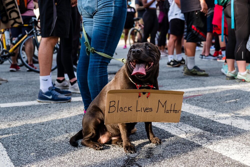 060820_Black_Lives_Matter_Protest_at_the_Capitol-9955.jpg