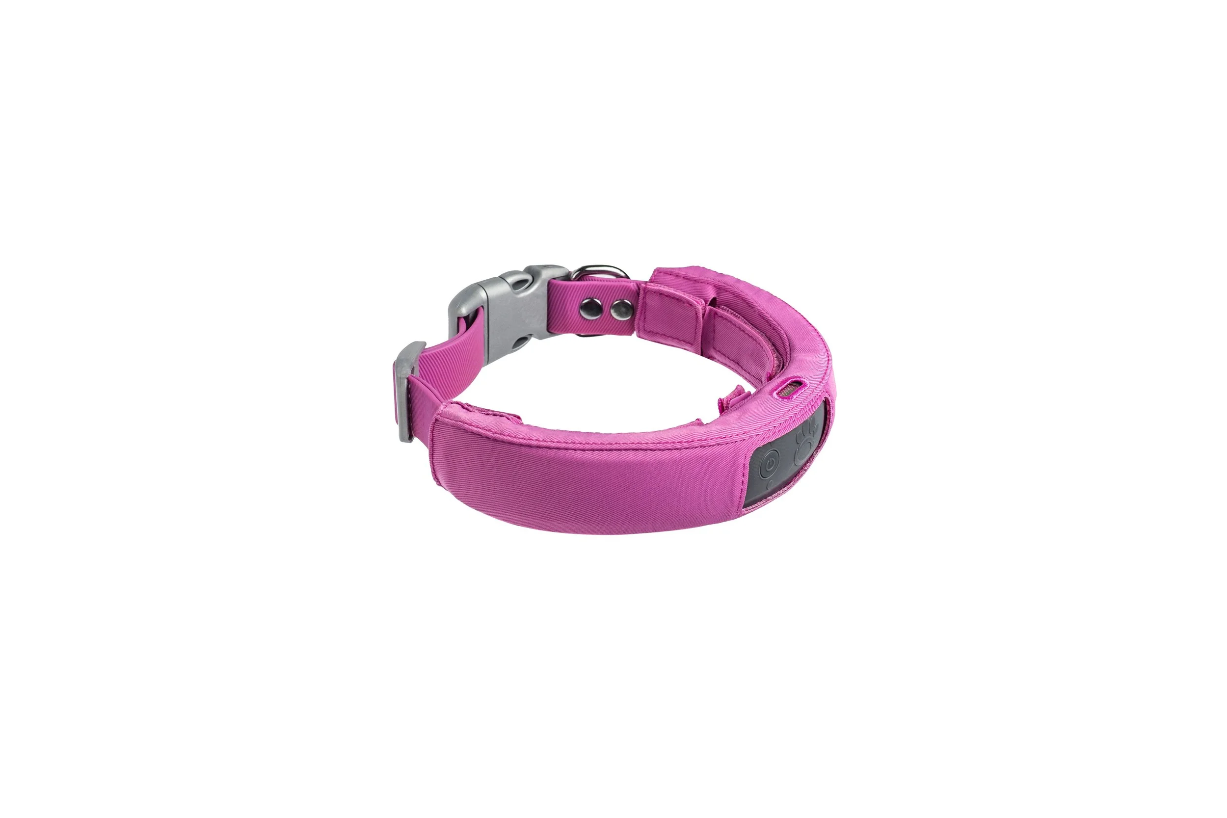 021524_Halo_Dog_Collar-5345-after.jpg