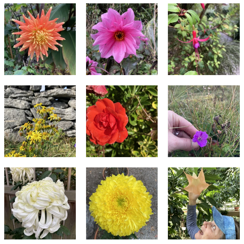 You, in bloom