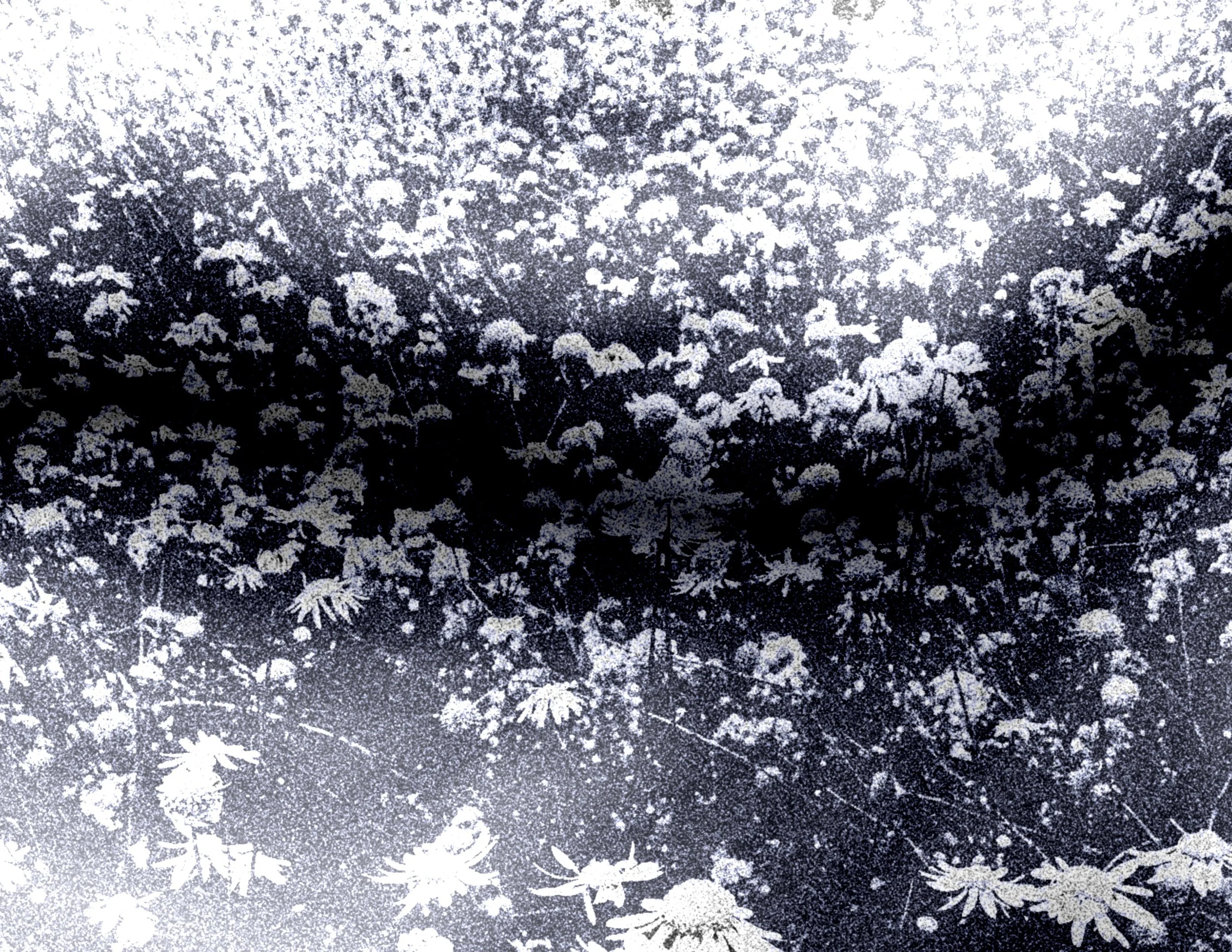 think of me every time.jpg