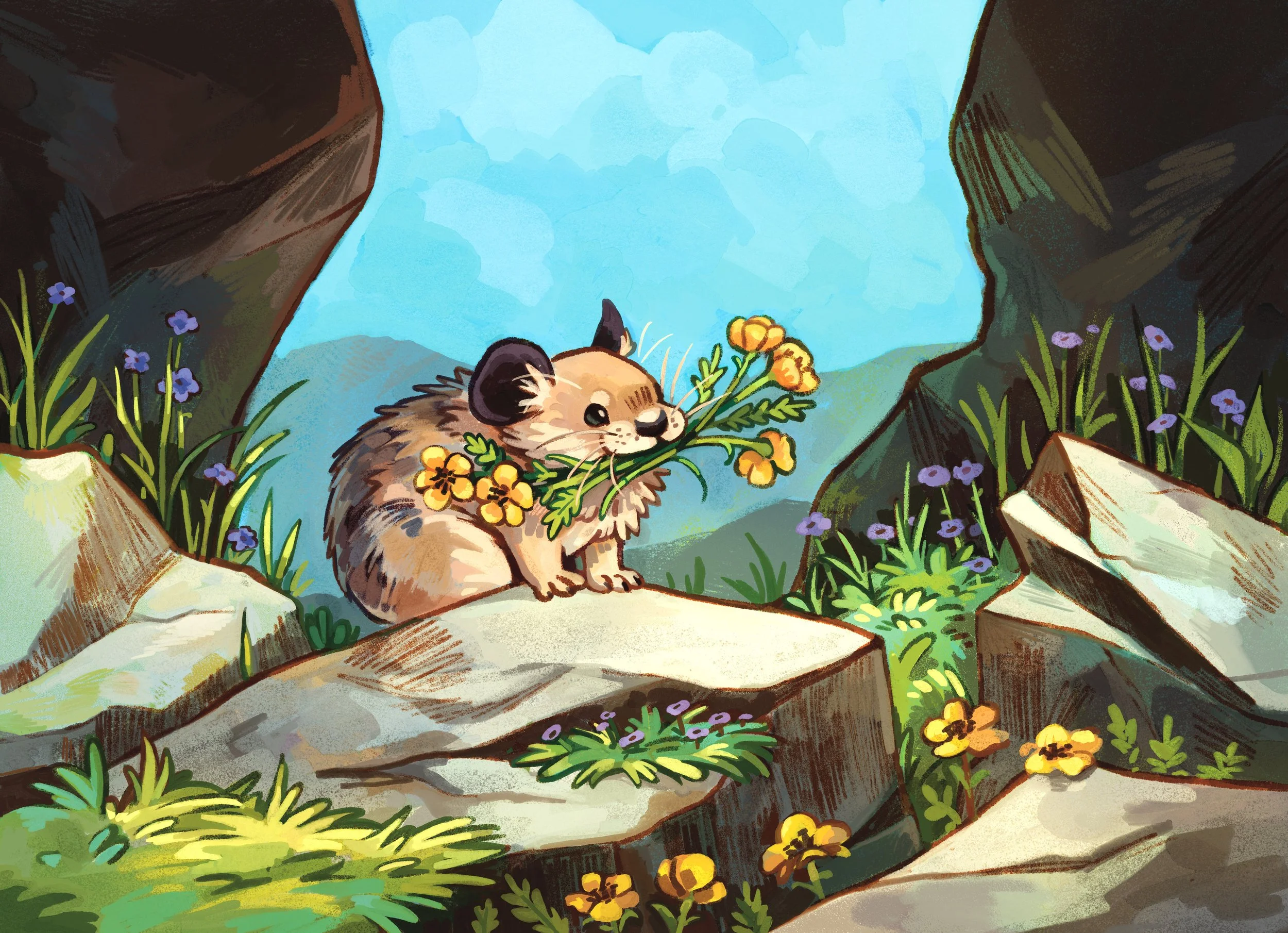 pika-for-socials.jpg