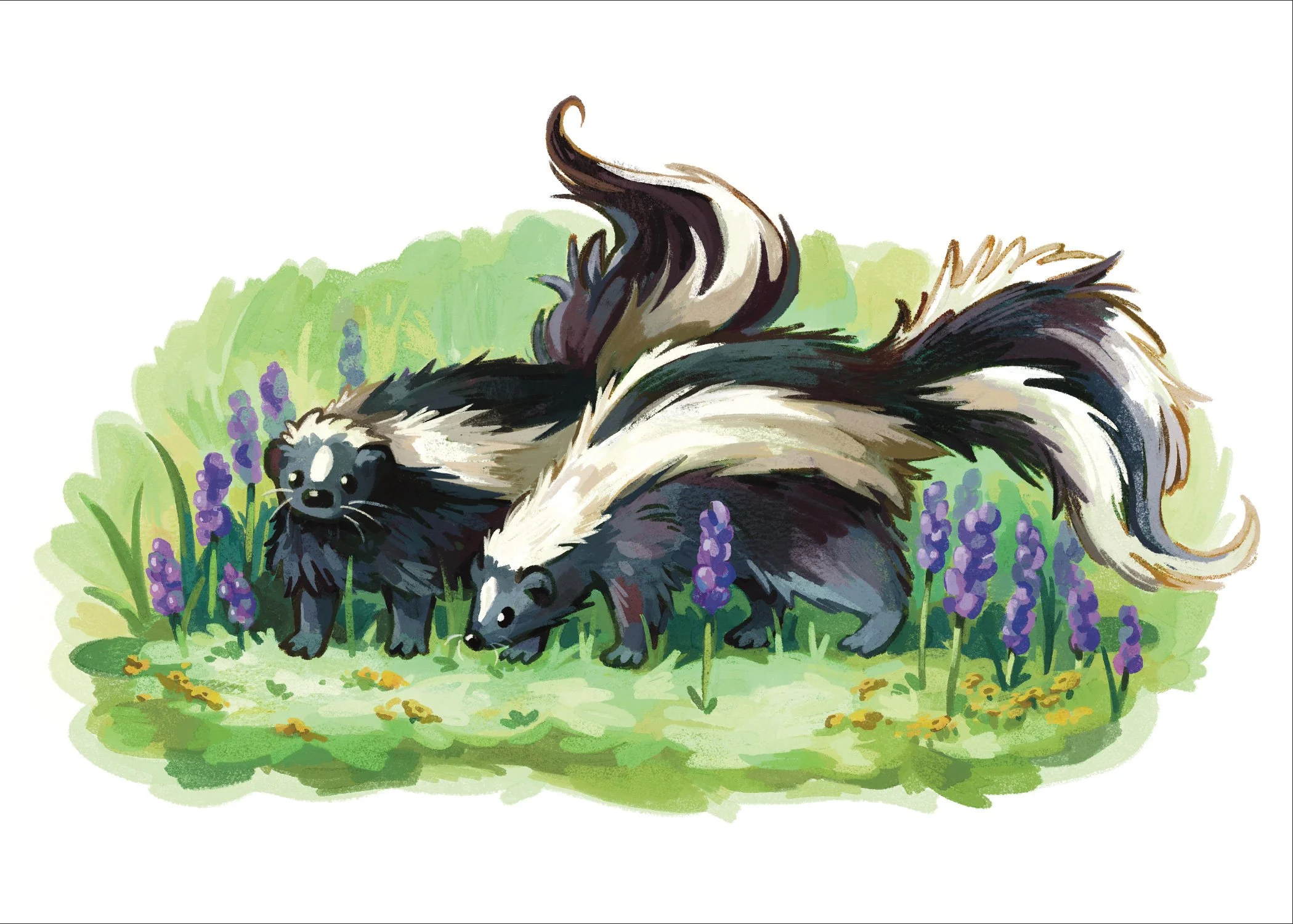 skunk-illustration-for-socials.jpg