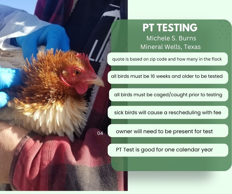 PT Testing - Texas Only