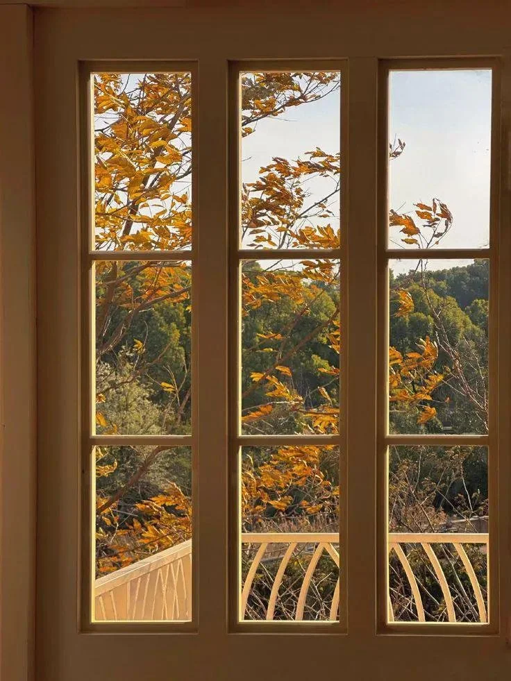 A Gentle Holiday Guide for When Food, Family, and Feelings Feel Overwhelming