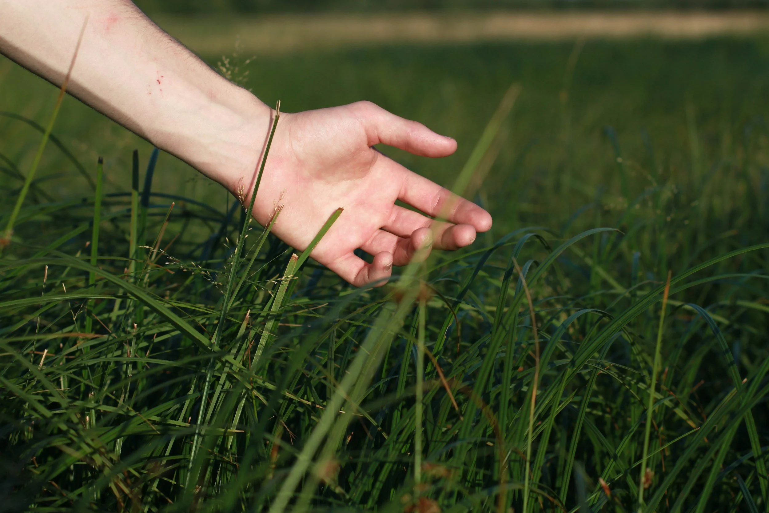 touch-grass-mental-health