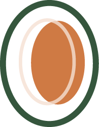 Close-up illustration of a boiled egg with its shell removed, showing the brown interior against a black background.