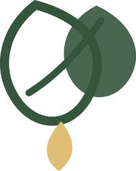 A green leaf with a water droplet on it