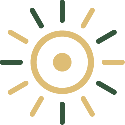 A stylized sun illustration with a circle and rays extending outward in green and beige colors.