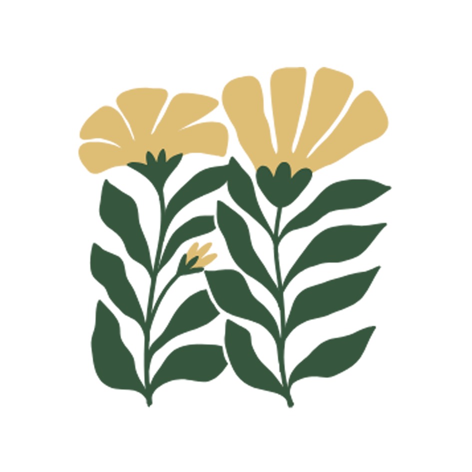 Yellow flowers with long green stems to denote leaving therapy sessions with something to hold onto and use to grow