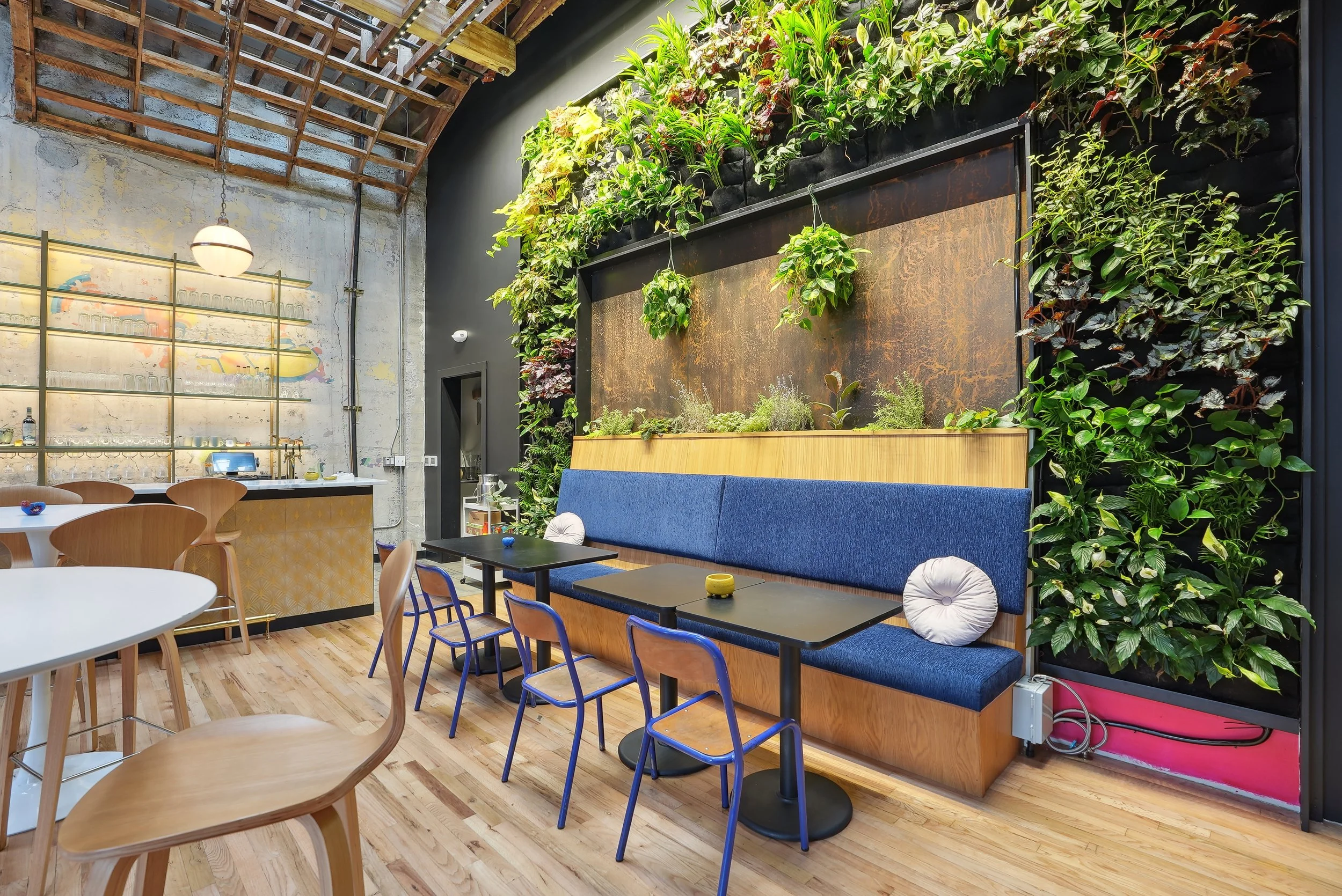 Green Wall_Cafe.jpg