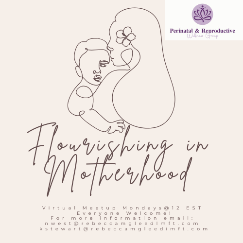An illustration of a mother holding her child with a flower in the background, featuring the title 'FLOURISHING IN MOTHERHOOD' and details about a virtual meetup for perinatal and reproductive health.