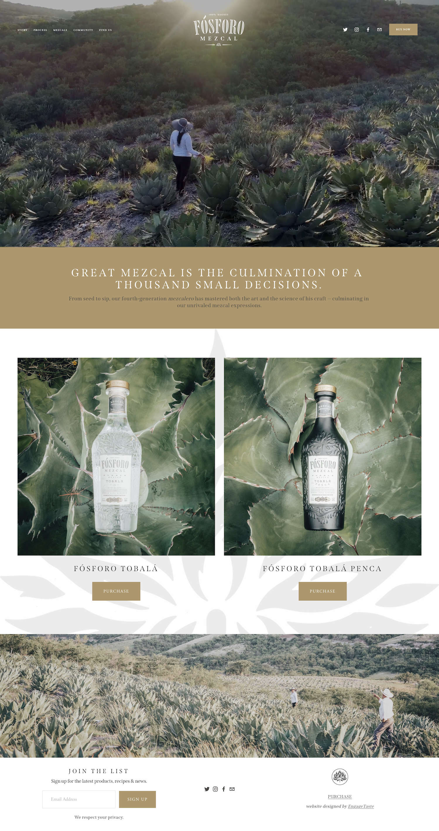 Fosforo Mezcal sm.png