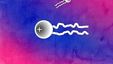 cov1.gif