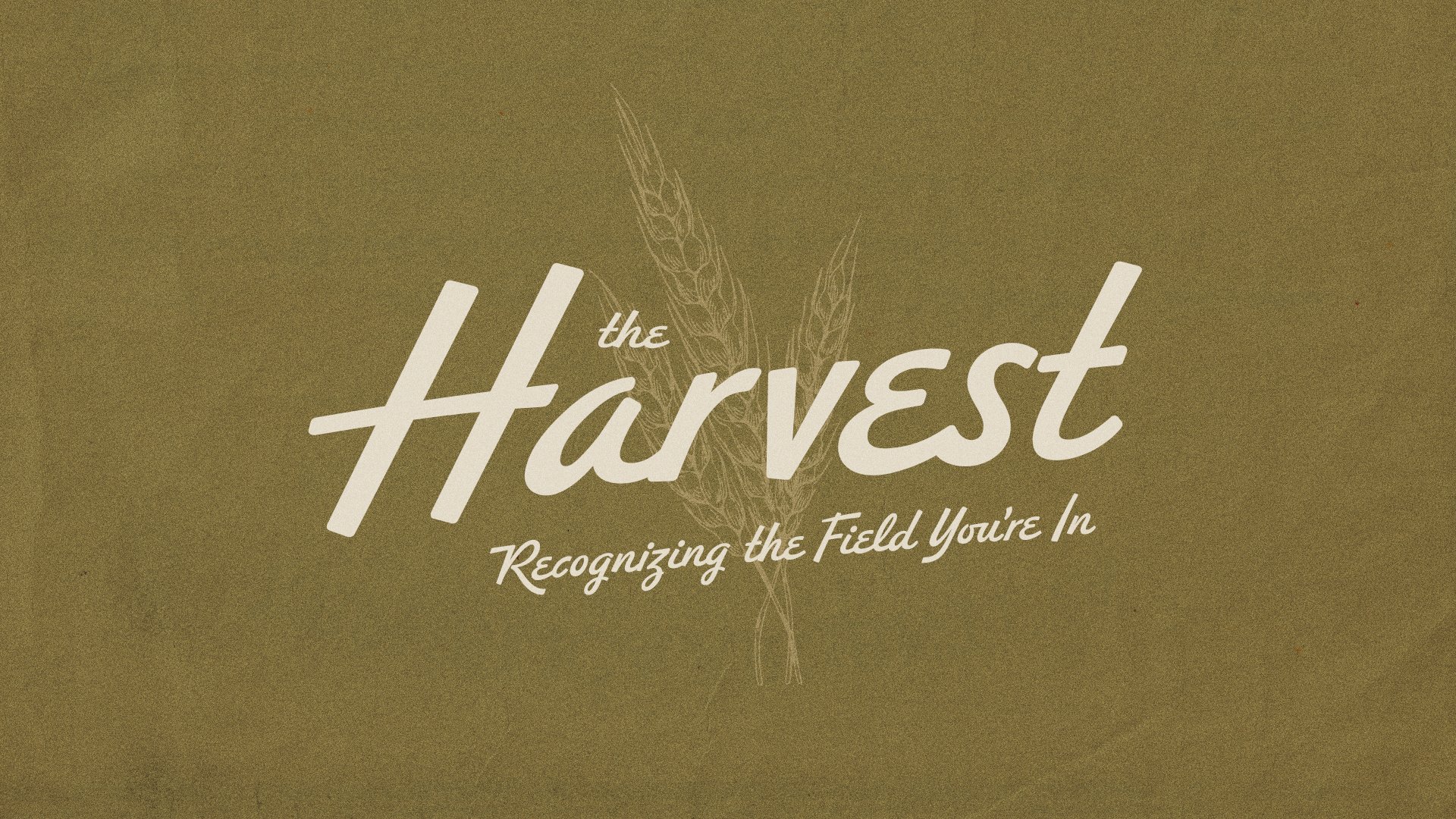 Harvest Week 1: The Harvest You Didn’t Plant