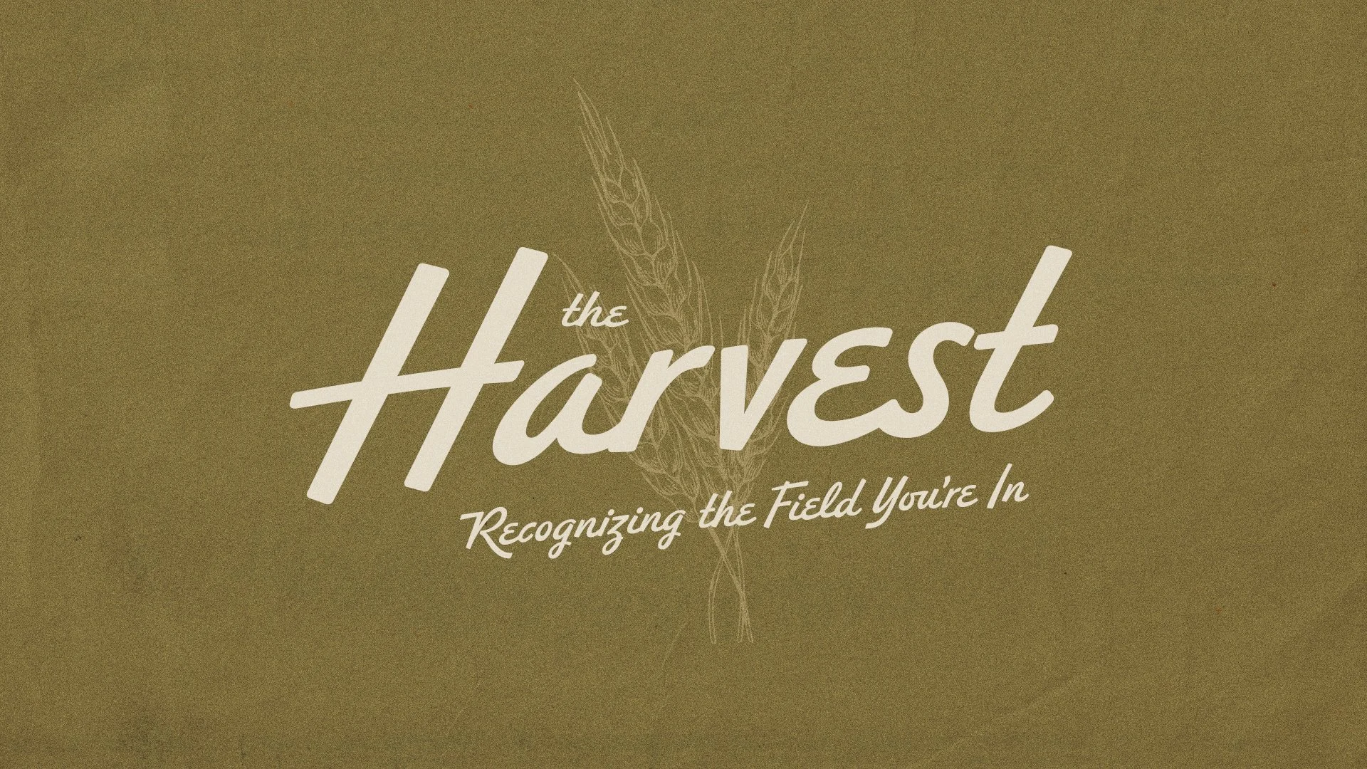 Harvest Week 2: The Harvest You Didn’t Want