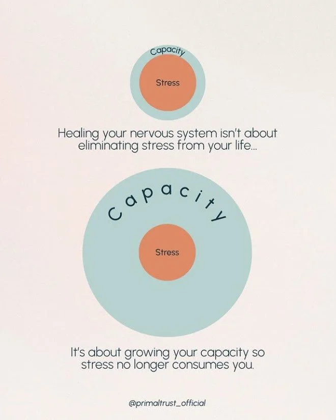 from @primaltrust_official
Life gets stressful, and unless you&rsquo;re going to live life in a bubble, there&rsquo;s no escaping stress. Things are going to worry you, scare you, upset you&hellip; You need to feel all of these things, proportionatel