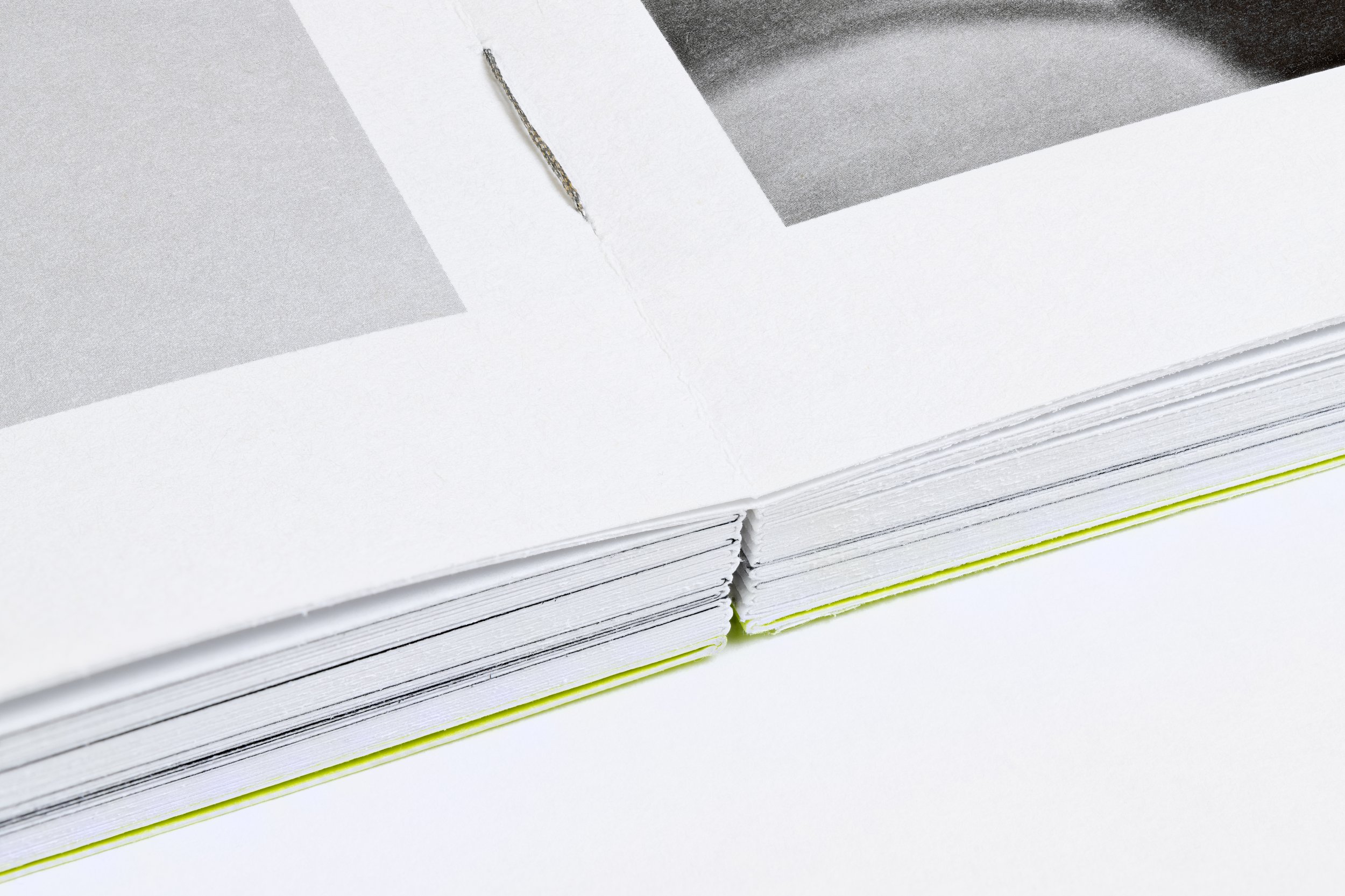 20260331_Labor Book Documentation Focus Stack Spine_0365_stack.jpg