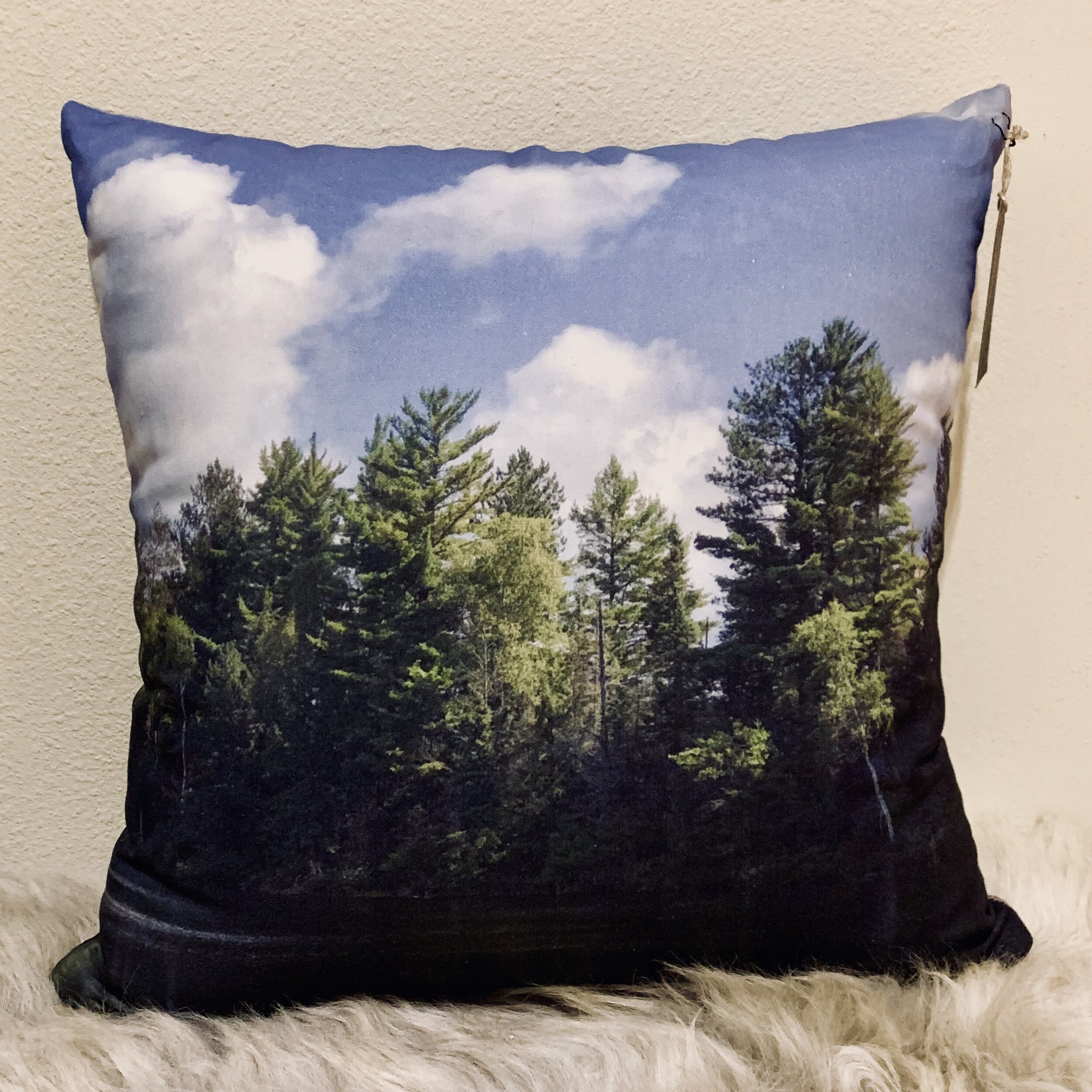 pillow1_1.jpg