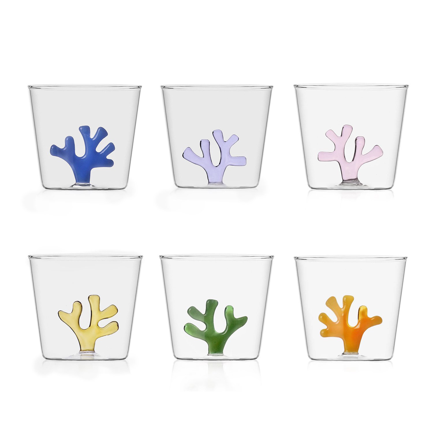 Ichendorf Coral Reef Collection.jpg