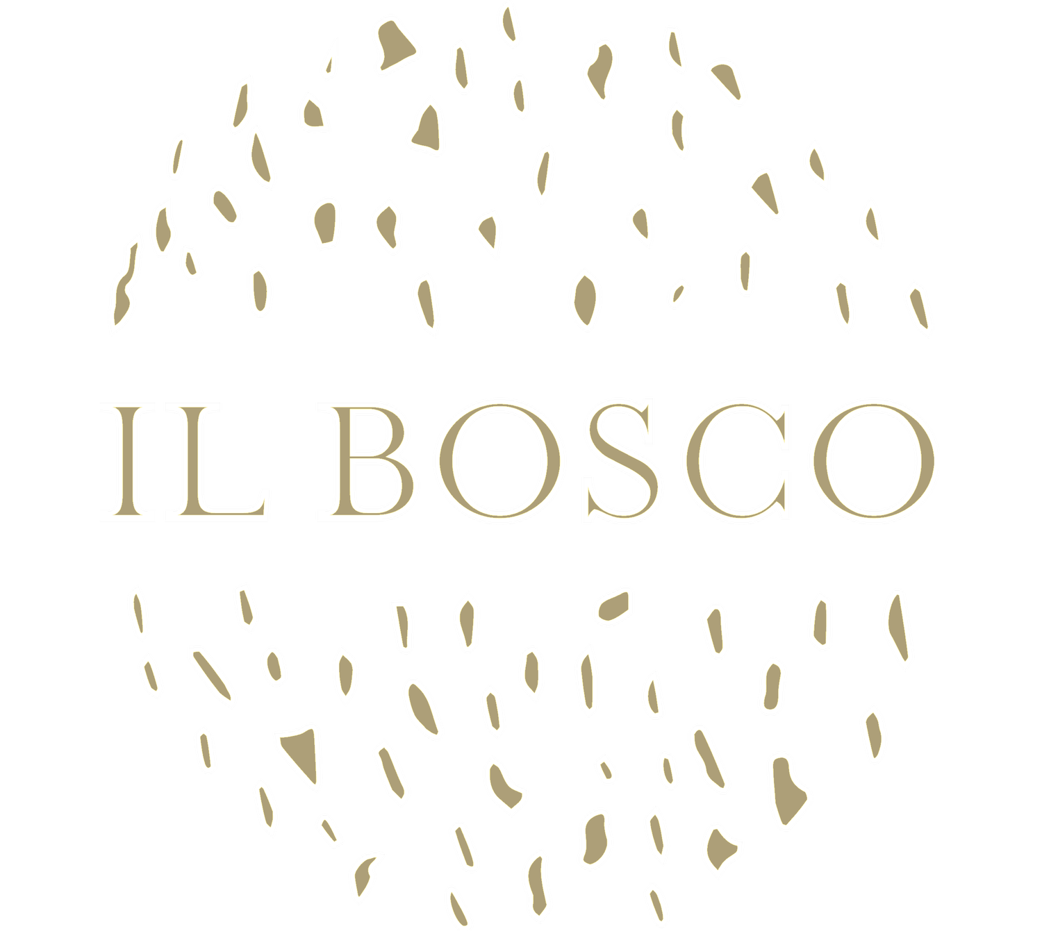 IL Bosco - Boutique Store in Milwaukee Wisconsin 