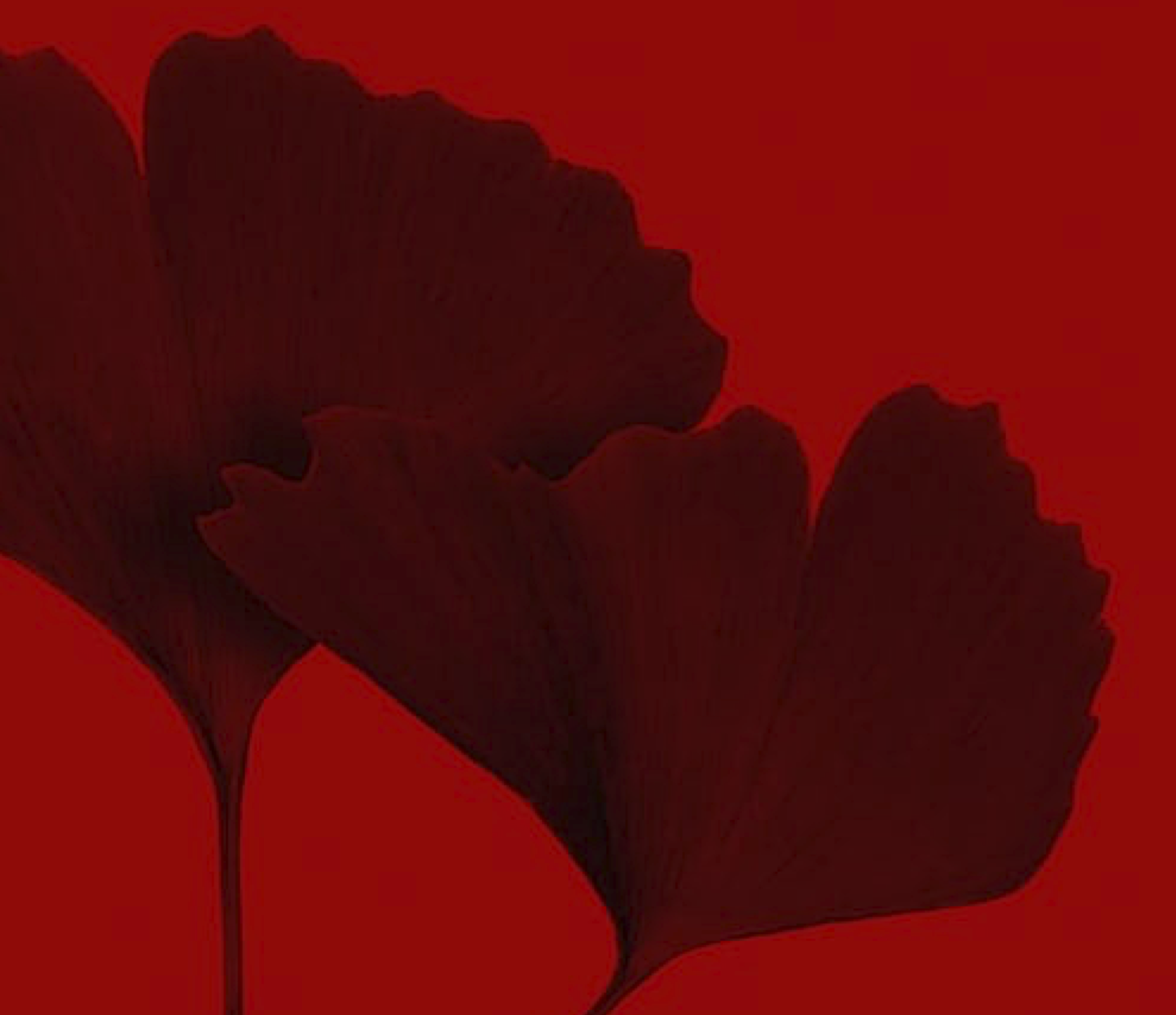 Are You Ready for a Heart Transformation? Join me!