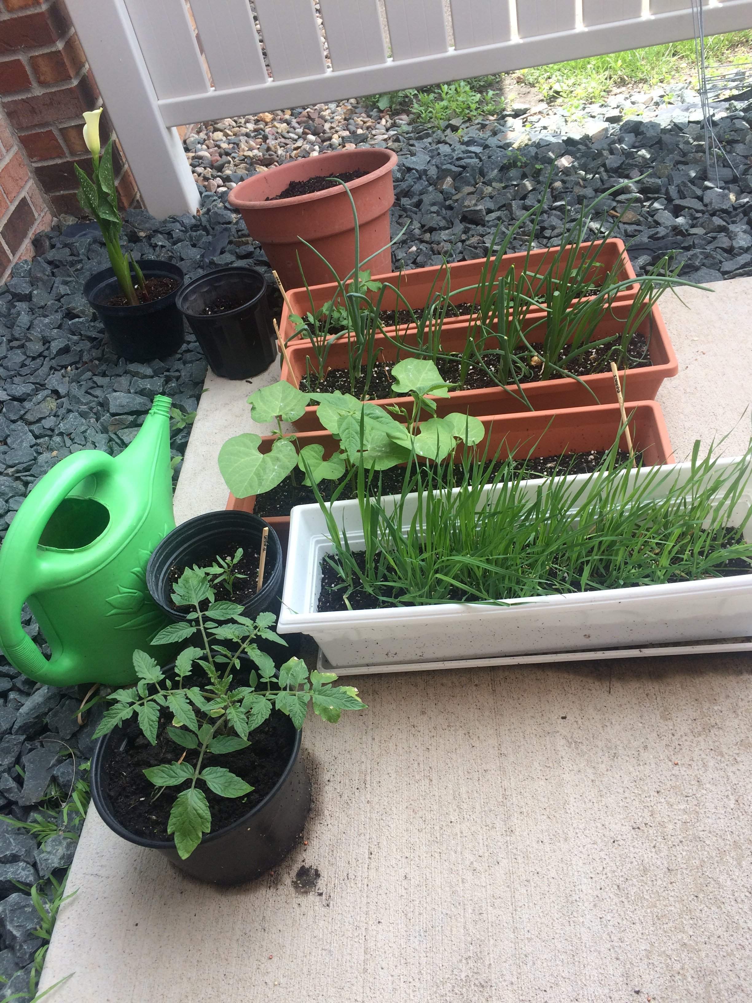 My Priorities with a patio garden