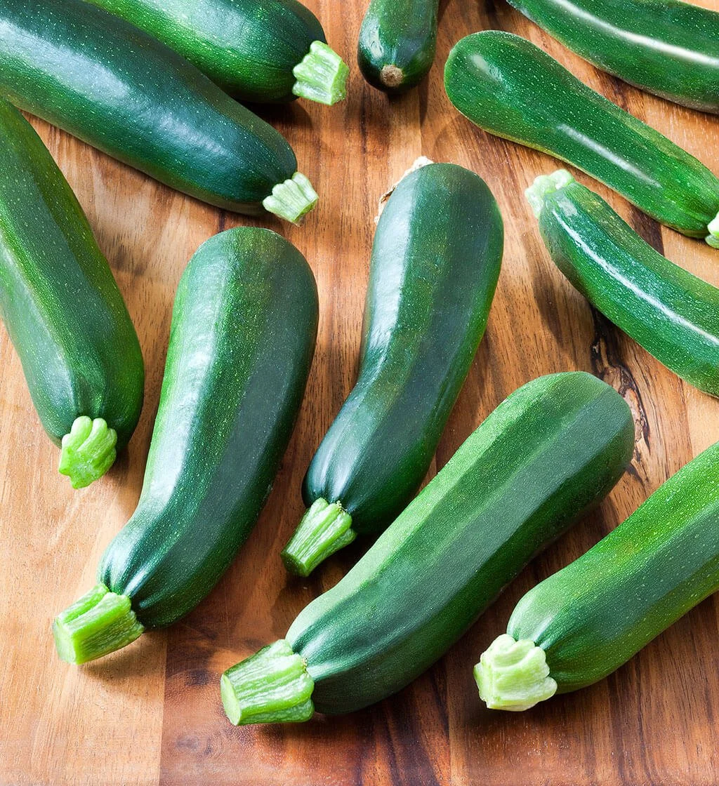 Zucchini - Black Beauty
