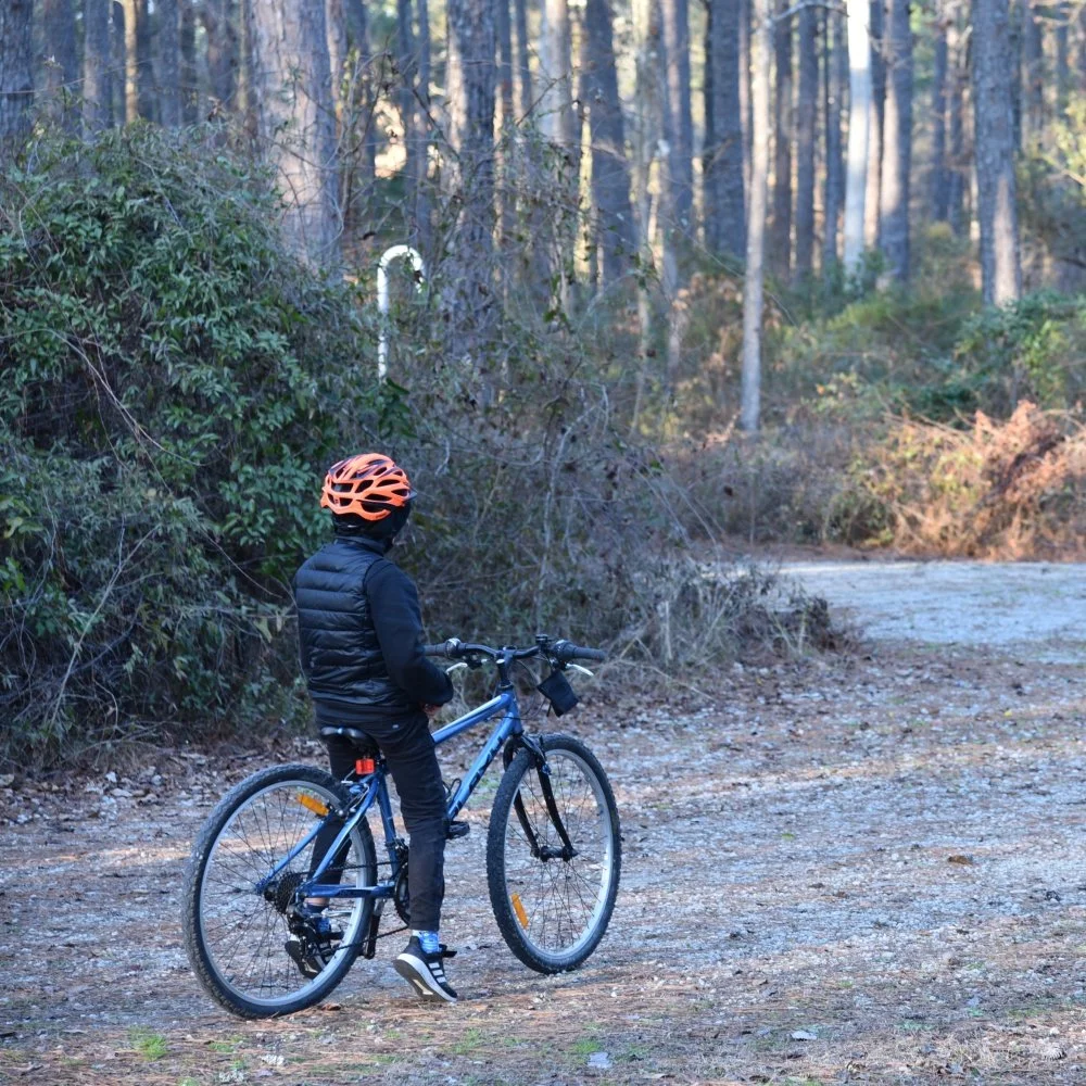 Konečně odpočinkový den