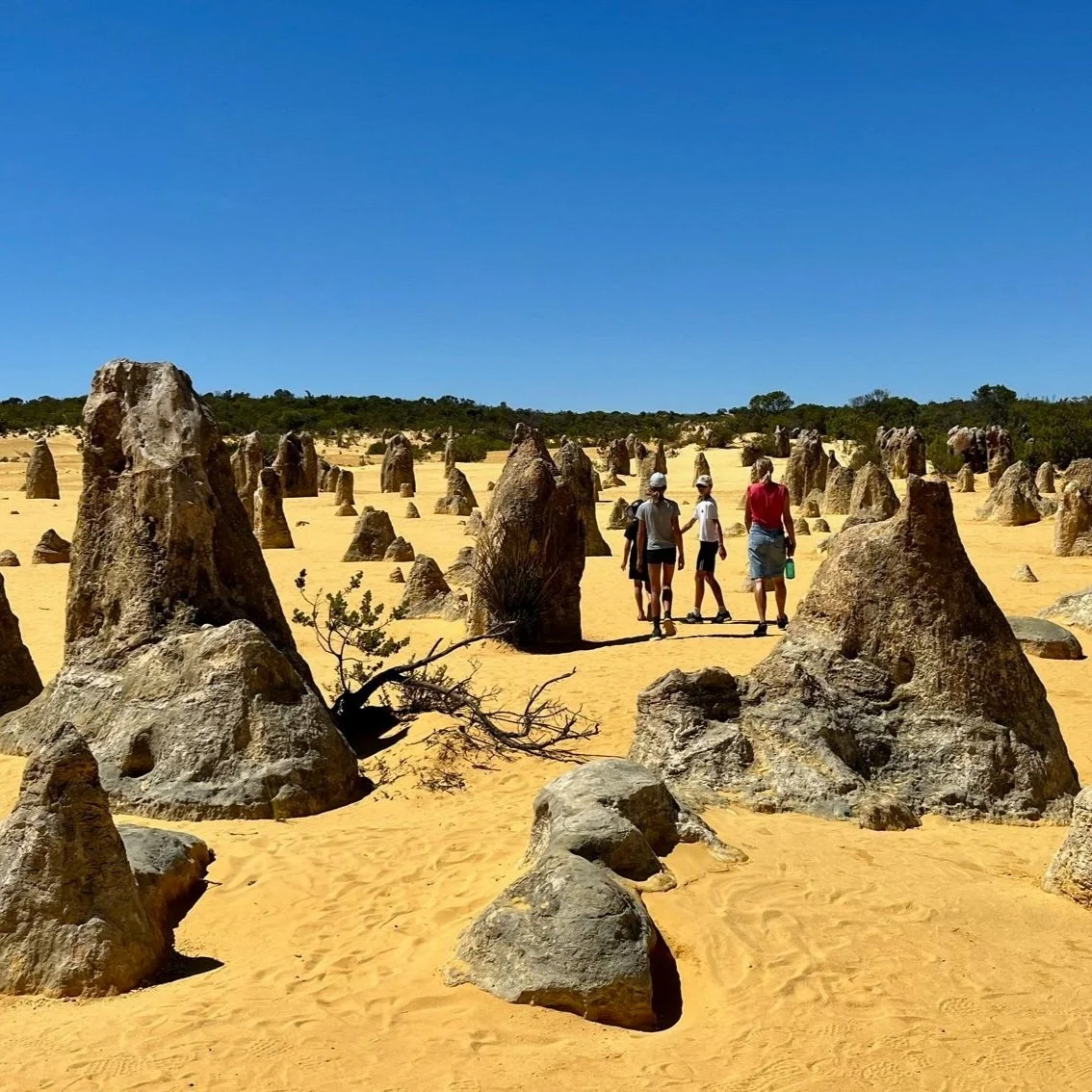 Pinnacles