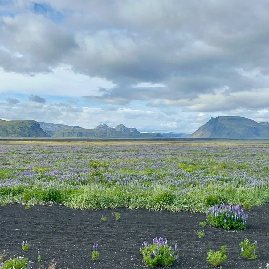 Dvě švýcarské stopařky