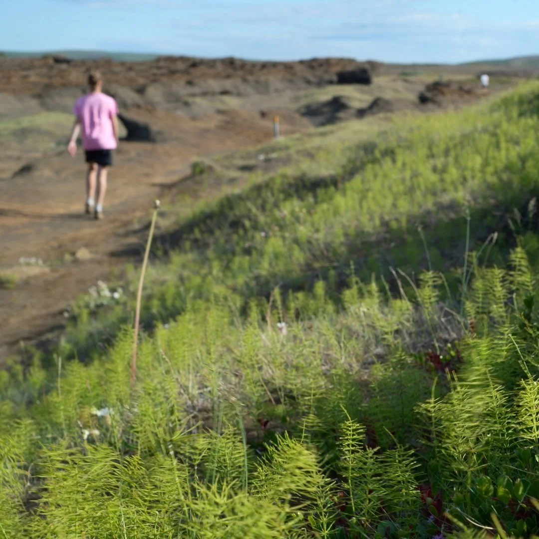 Dlouhý trek v kaňonu Ásbyrgi