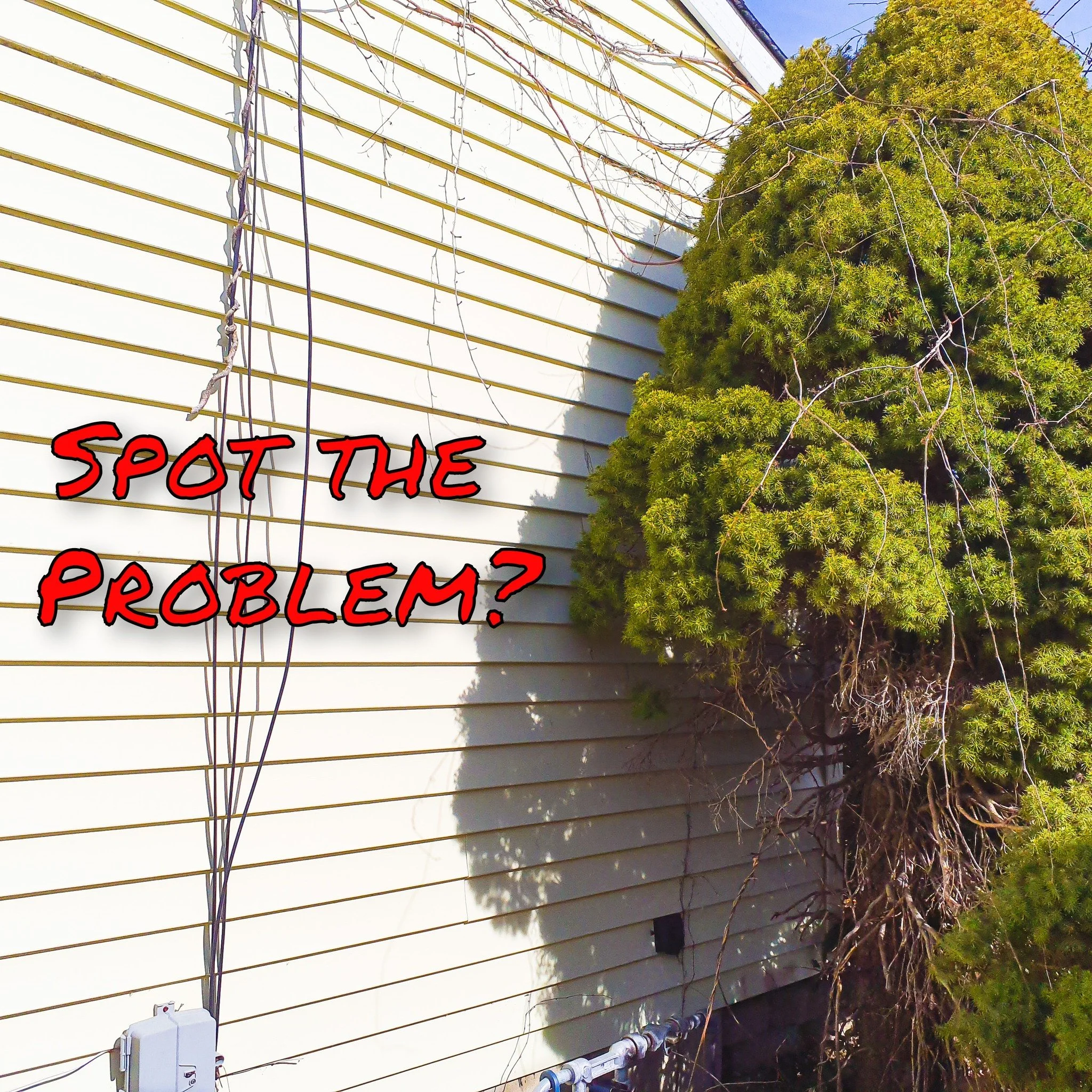 🌿 Keep Nature in Check&mdash;Protect Your Home! 🏠

Overgrown vegetation might look charming, but it can trap moisture against siding, invite pests, and even damage your roof or foundation. Trimming shrubs, trees, and vines away from your home keeps