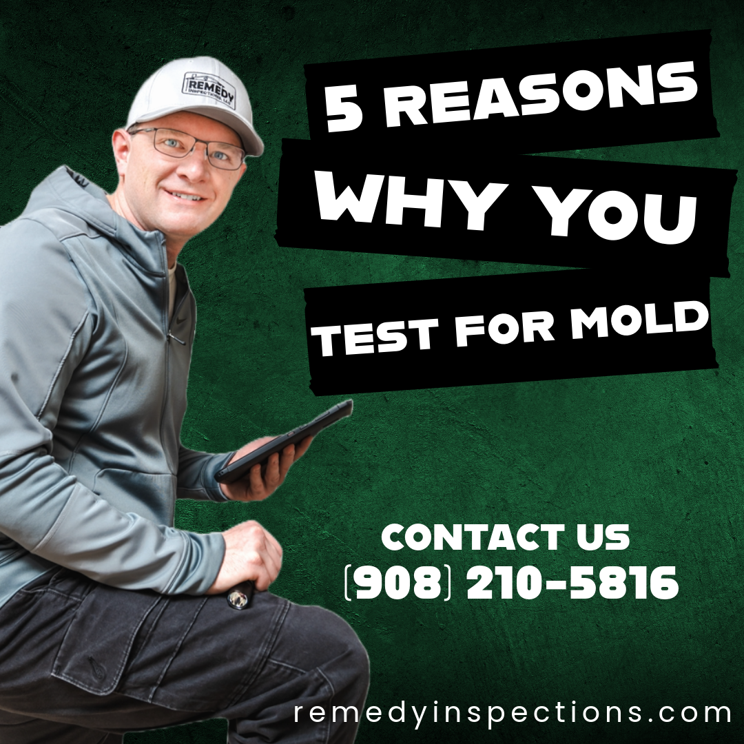 5-reasons-why-you-need-mold-testing