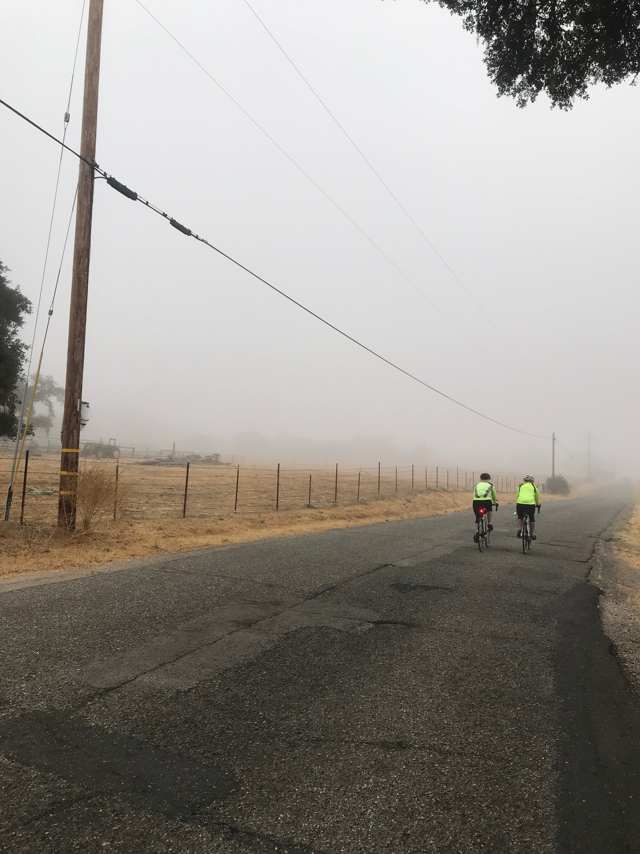 Cycling amids fog.jpeg
