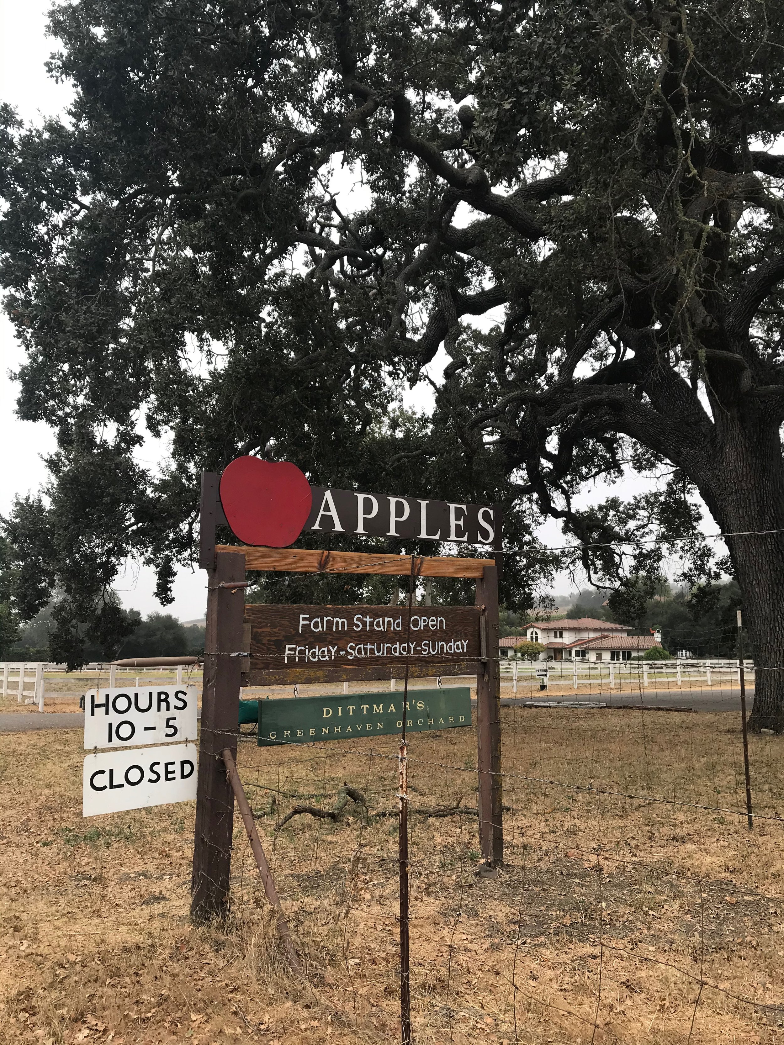 Apples Farm.jpeg