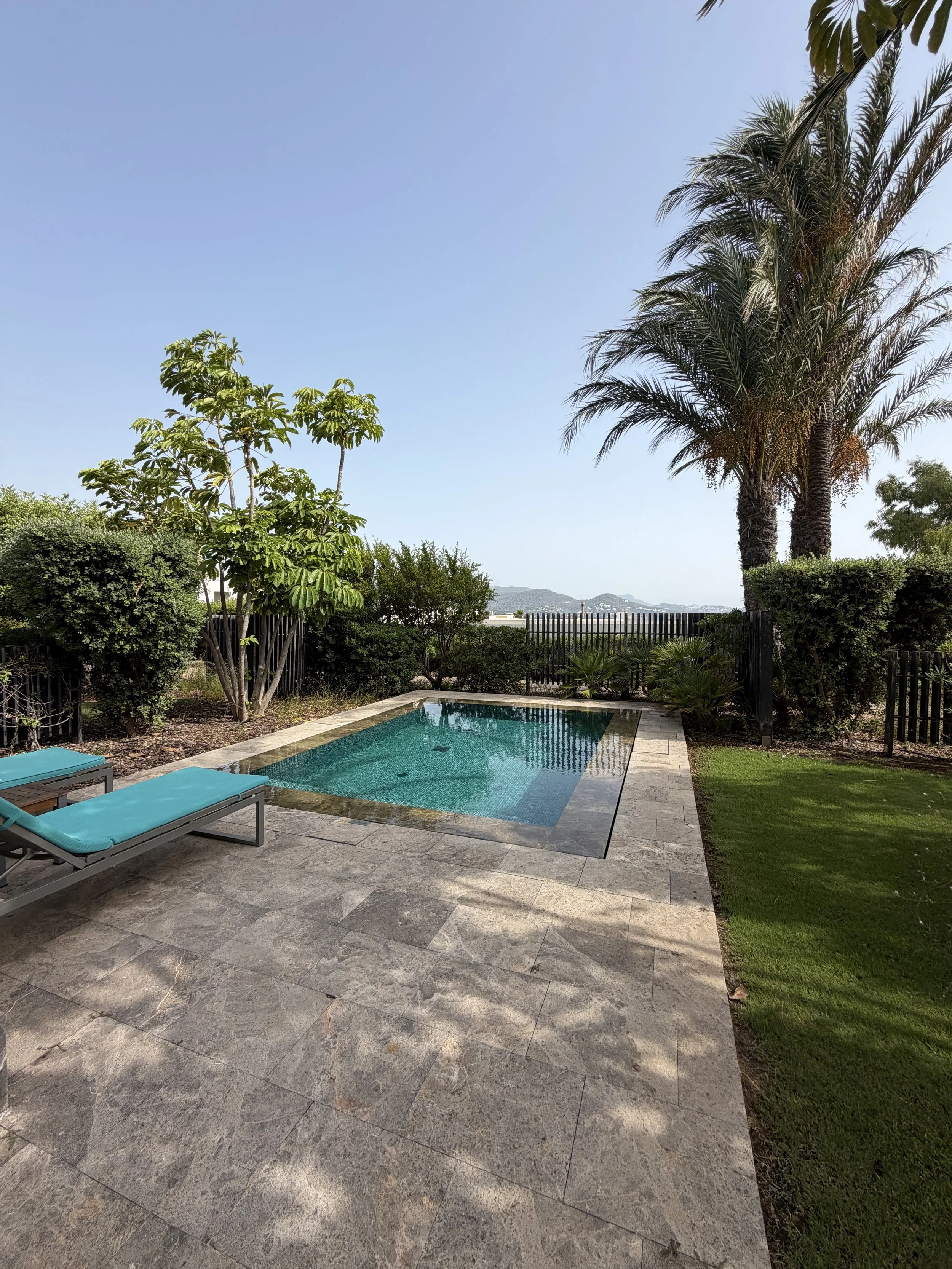 plunge pool and palm trees
