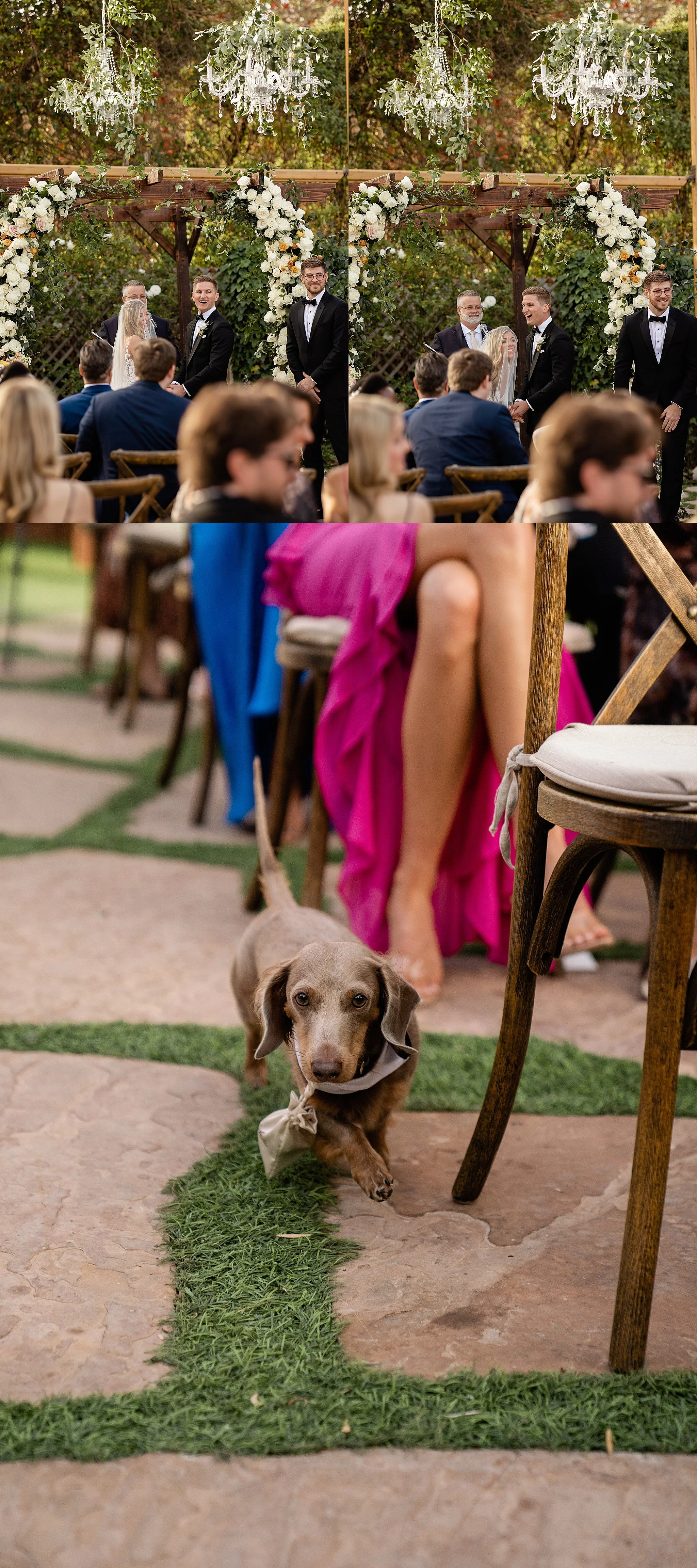 1-AdelieandLiamWeddingRinconEventsSantaBarbaraWeddingPhotographerRachelWakefield-284.jpg