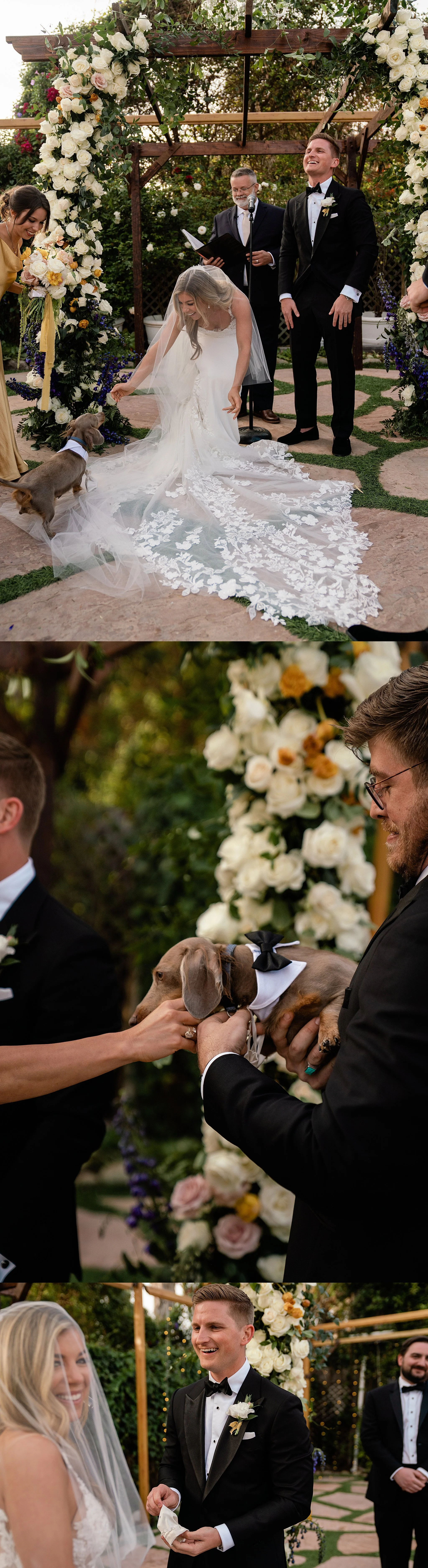 1-AdelieandLiamWeddingRinconEventsSantaBarbaraWeddingPhotographerRachelWakefield-290.jpg