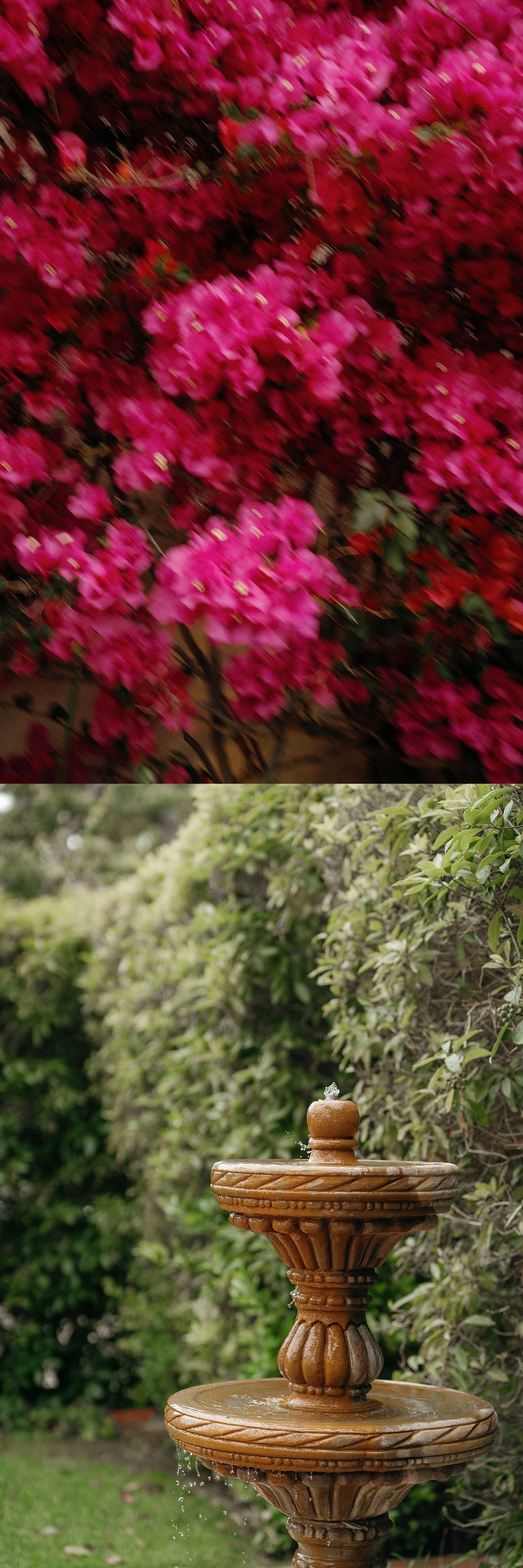 SantaBarbaraElopementPhotographer_0090.jpg