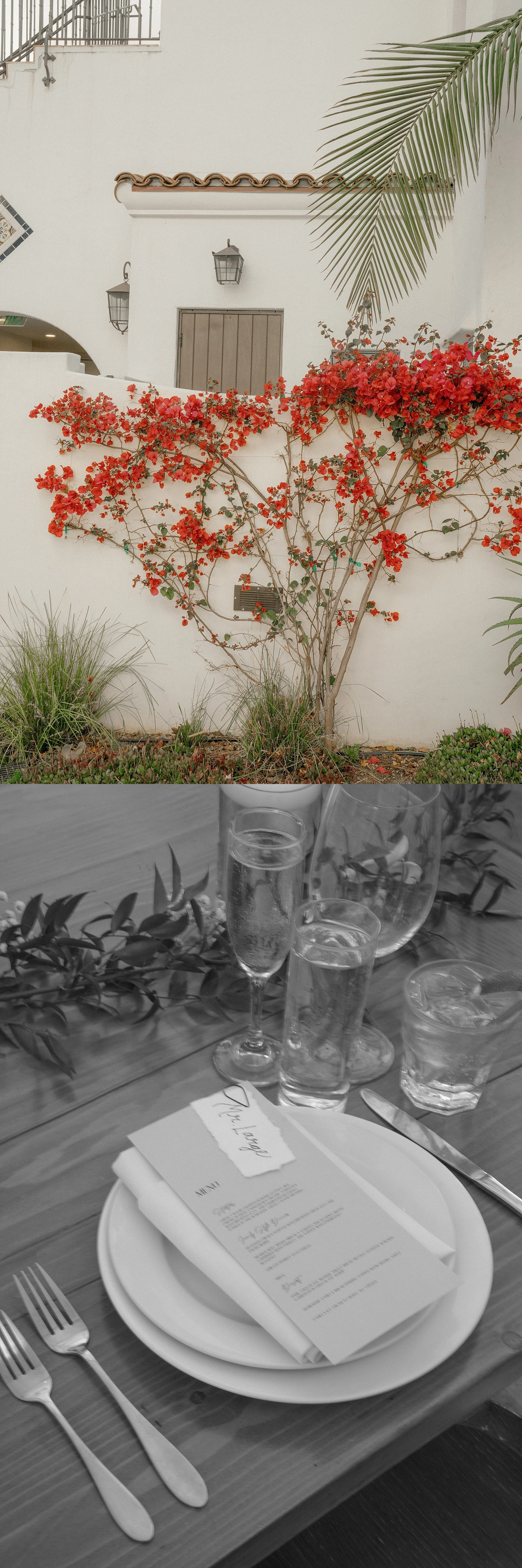 SantaBarbaraElopementPhotographer_0151.jpg