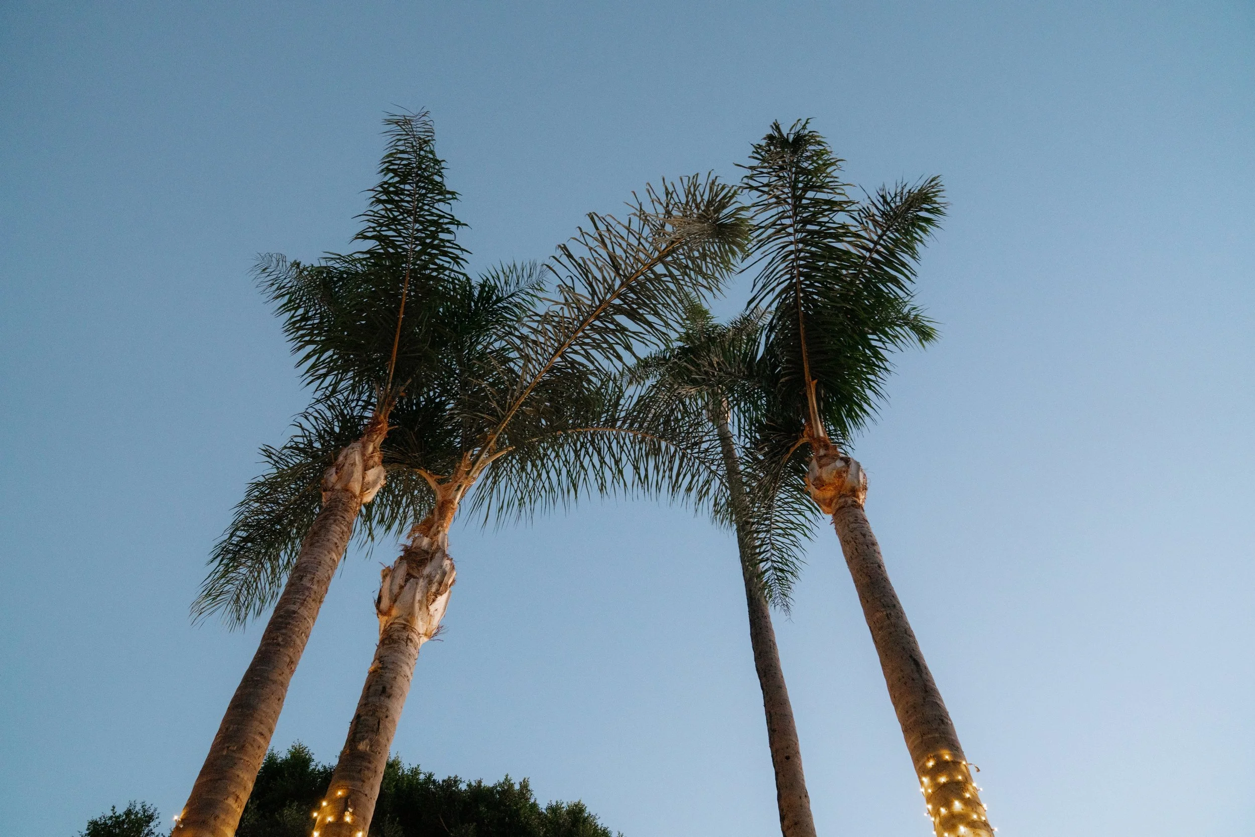 luckys-montecito-wedding-weekend-dinner-1.jpg