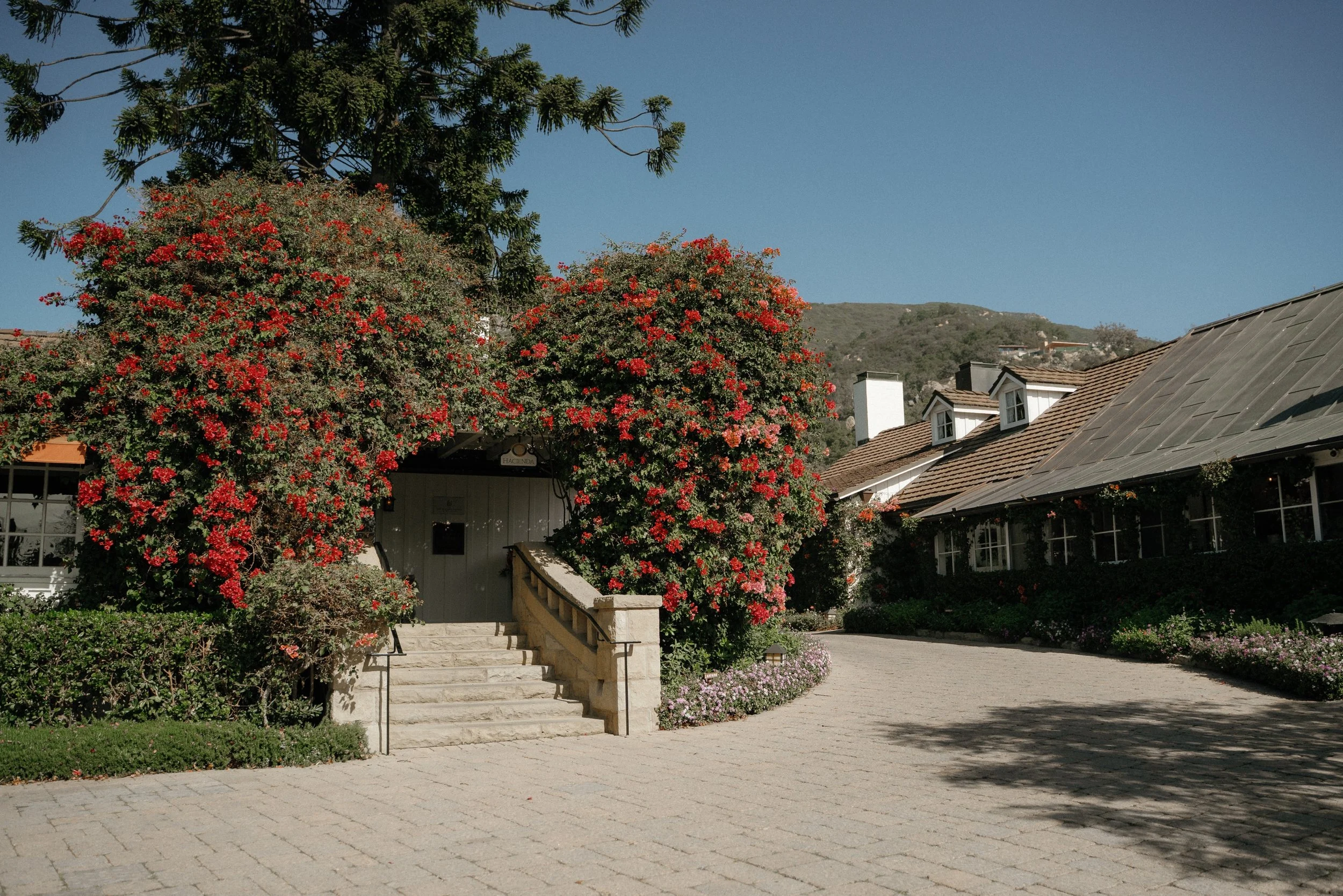 san-ysidro-ranch-wedding-photographer-montecito_rachel Wakefield.jpg