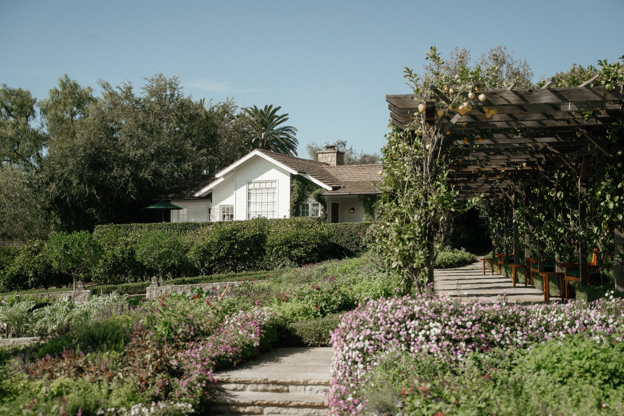 san-ysidro-ranch-wedding-photographer-montecito.jpg