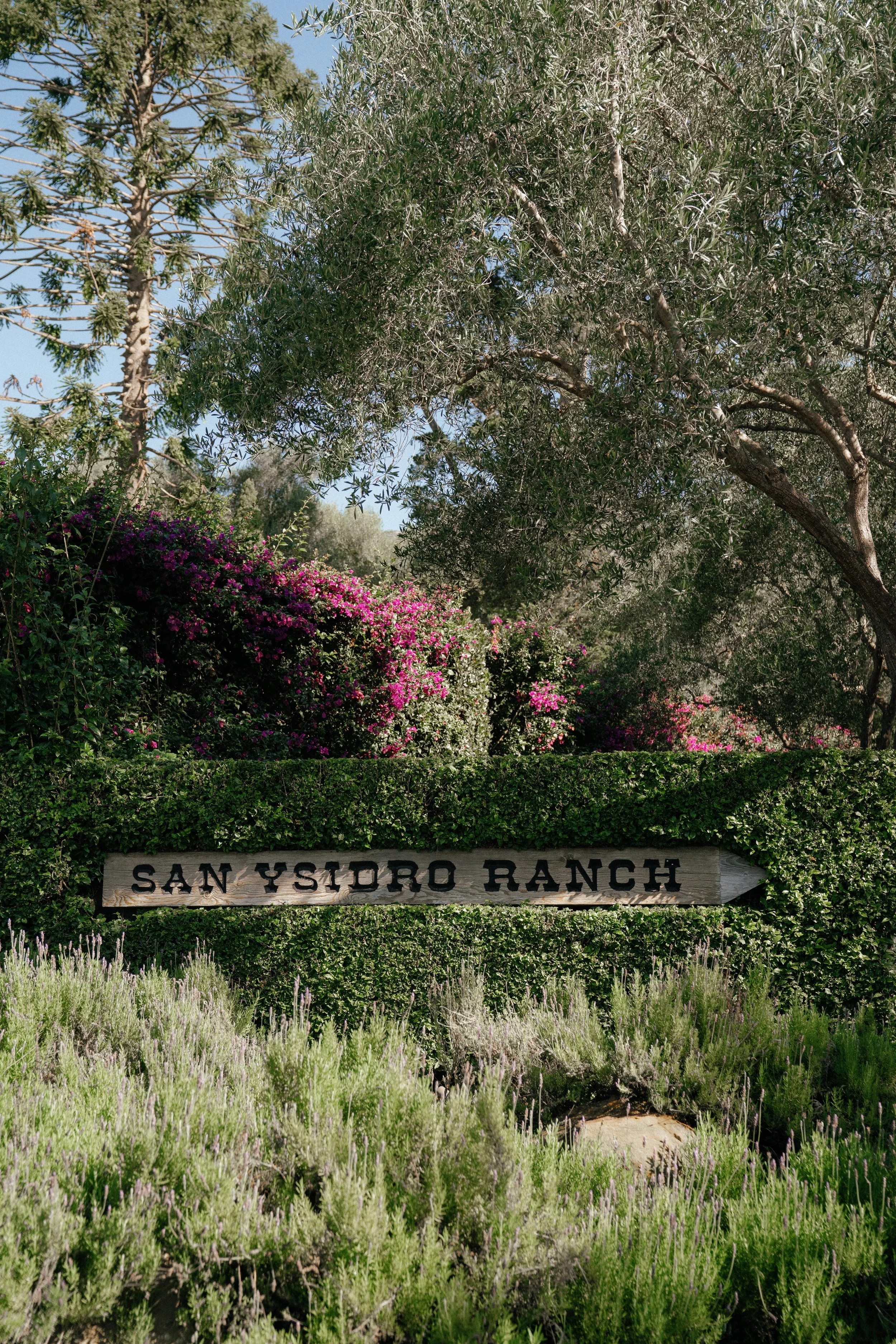 san-ysidro-ranch-wedding-photographer-montecito by Rachel Wakefield.jpg