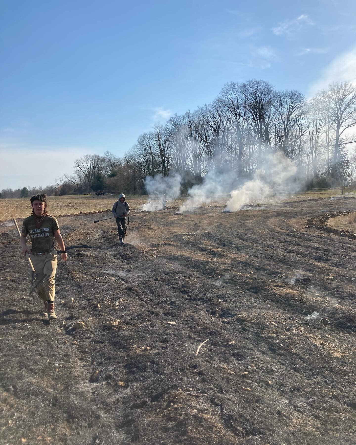Burning third year asparagus before our first year of harvest. We are very excited. Join our csa. Link in bio.