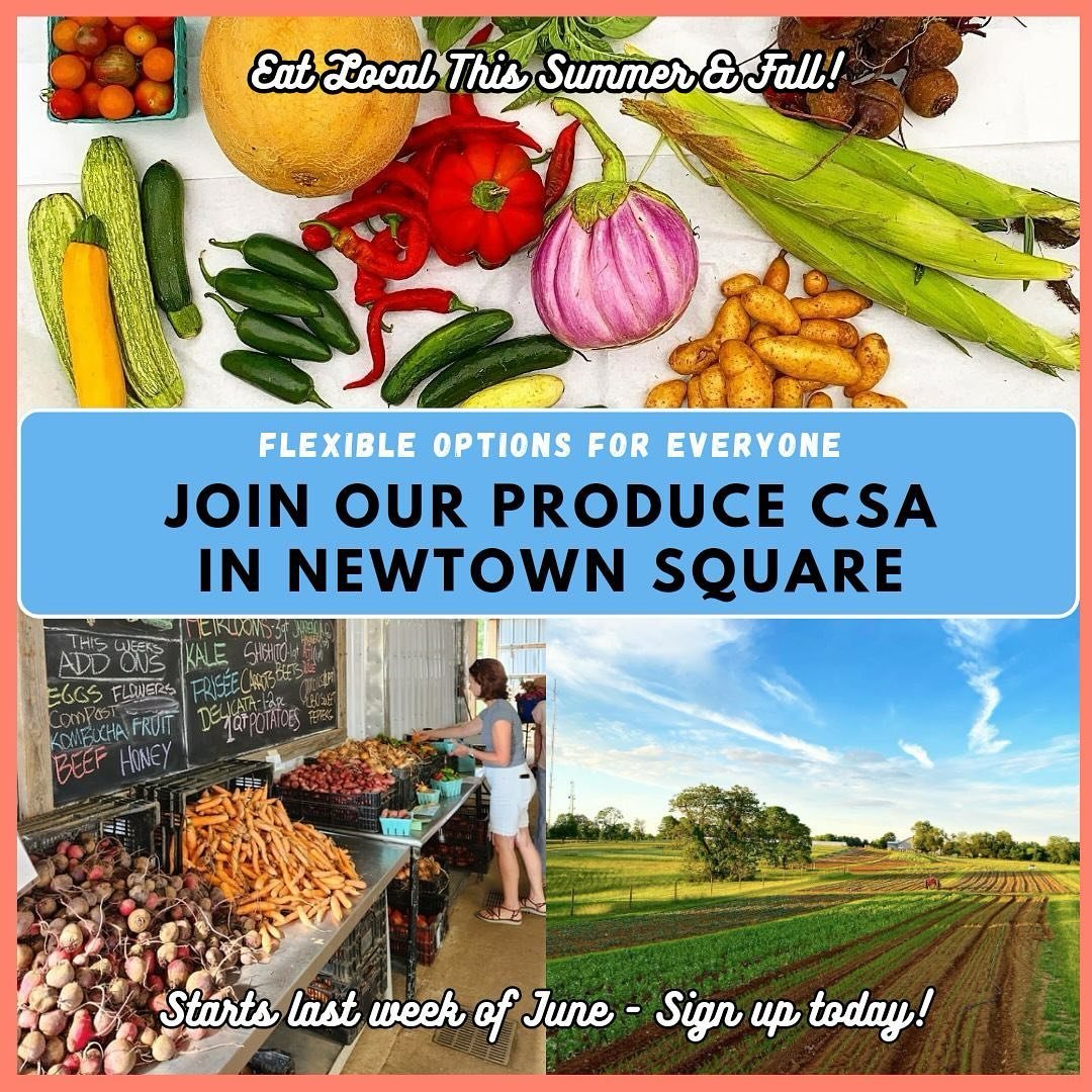We are filling up our membership and tilling up the fields. Our most delicious, nutritious harvest yet will be rolling in soon. Join our CSA now, get in on the bounty!