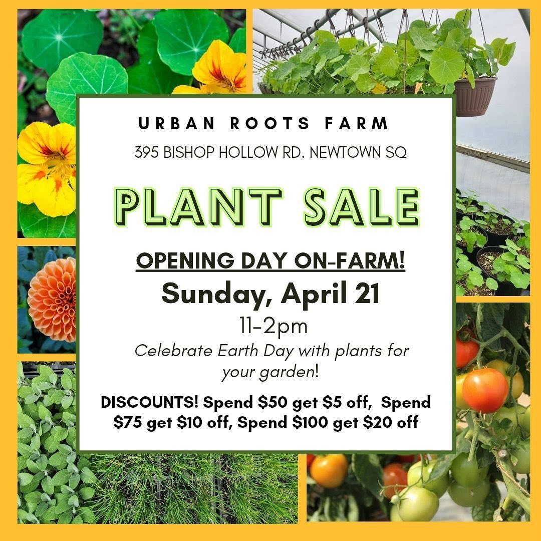 Our plant sale starts this Sunday! 11-2 at the farm. It is every Sunday for the next month or so, or until you plant all the plants. Spicy discounts, the more you plant the more you save. Flip through for our list and some pictures. Happy gardening a