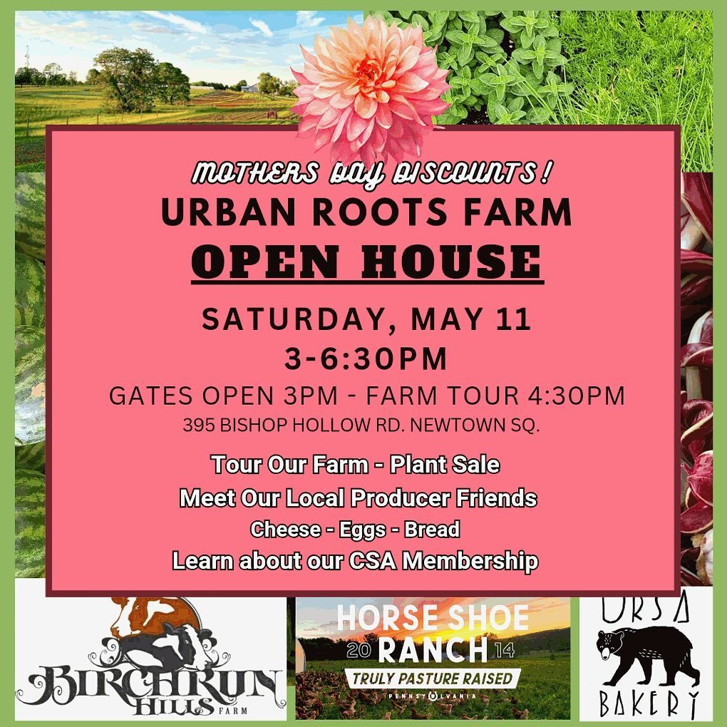 Come see the farm while everything is almost perfect, before we start harvesting your food and it all descends into madness. Find out what this CSA is all about. Grab plants, flowers, cheese, bread, eggs and more for mom. Maybe sign her up for a flow