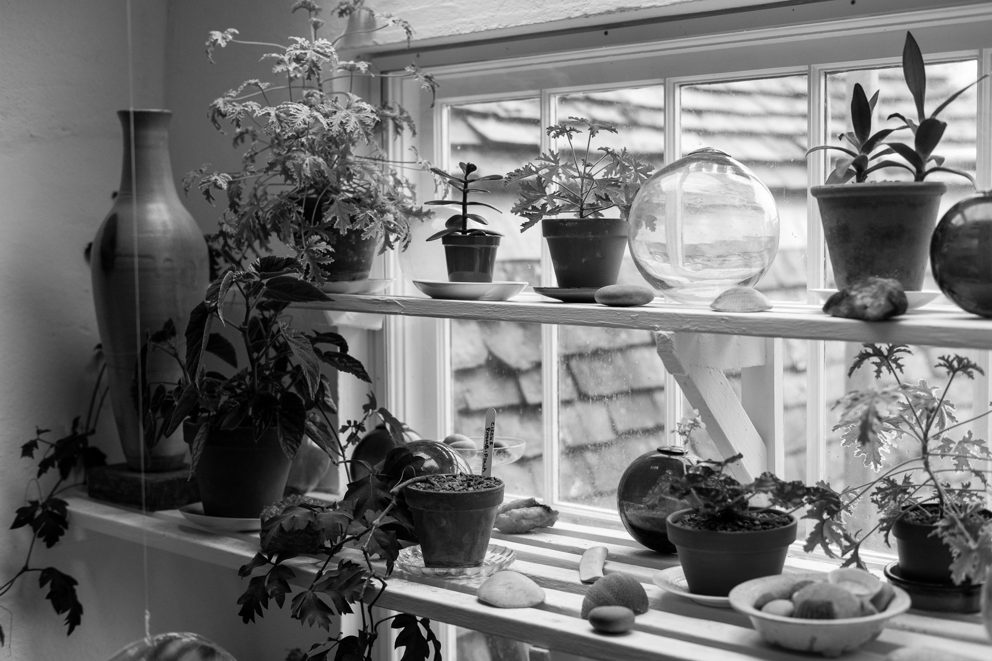 kettlesYardFeb-9133_B&W.jpg